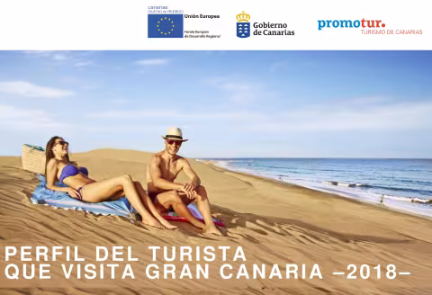 Perfil del turista Gran Canaria 2018.pdf