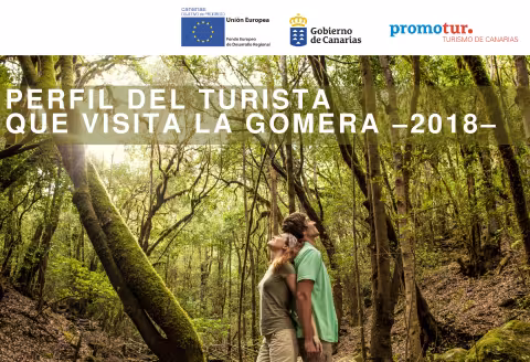 Perfil del turista La Gomera 2018.pdf