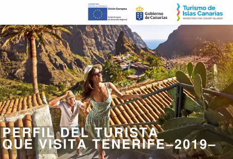 Perfil del turista Tenerife 2019.pdf