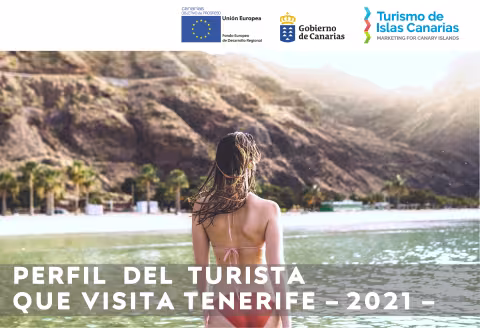 Perfil del turista Tenerife 2021.pdf