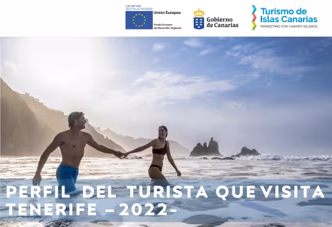 Perfil del turista Tenerife 2022.pdf